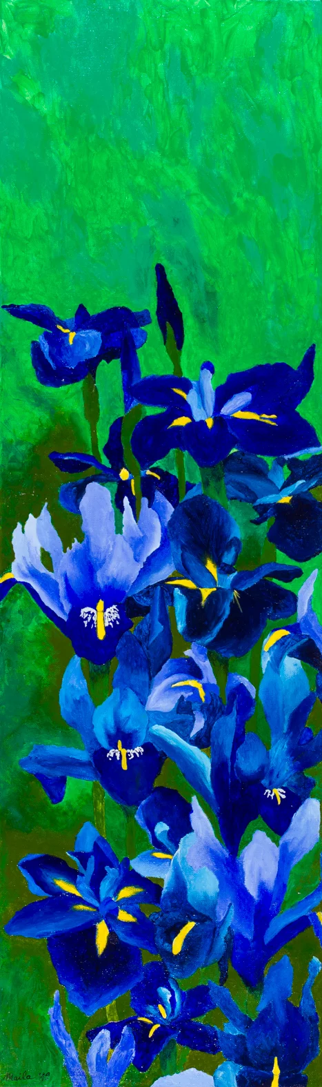 Iris