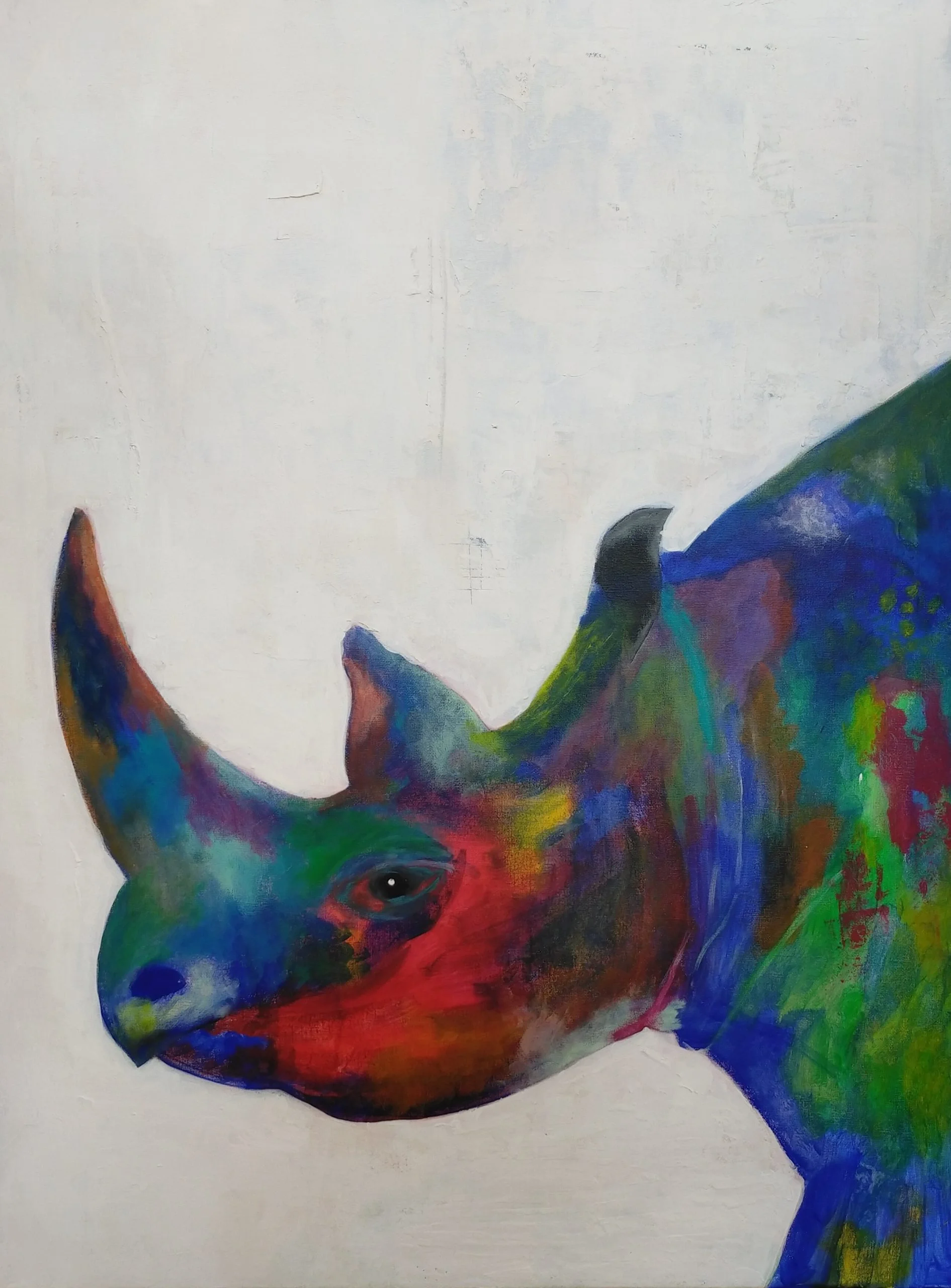 Rhinocerotidae