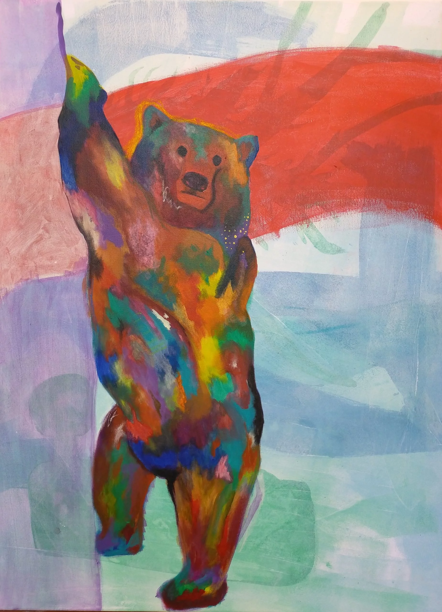 Ursus arctos
